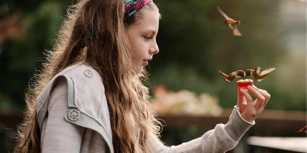 Hummingbird Zen A girl holds a small feeder as rufous hummingbirds fly in to drink