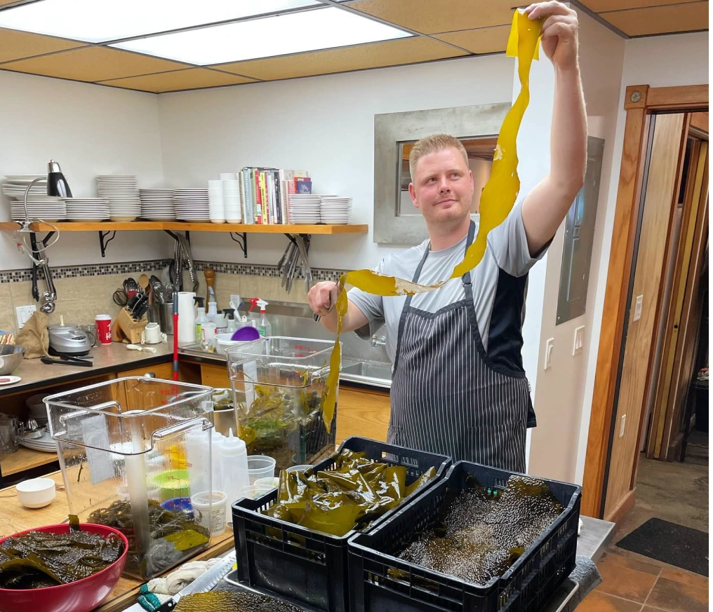 cooking with kelp