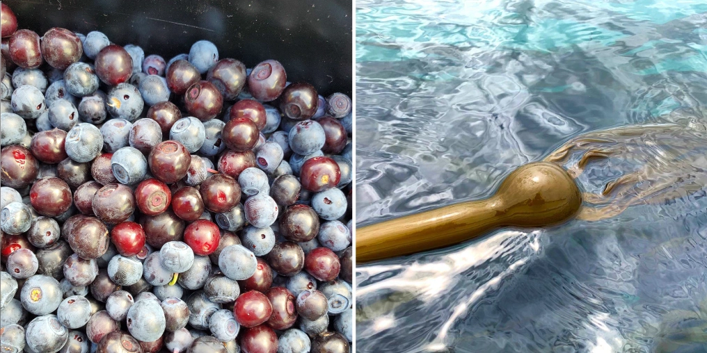 foraging vancouver island