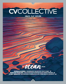 CVC Vol18 Cover