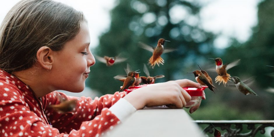 little girl playing humming birds
