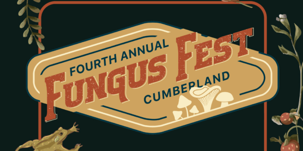 Fungus Fest