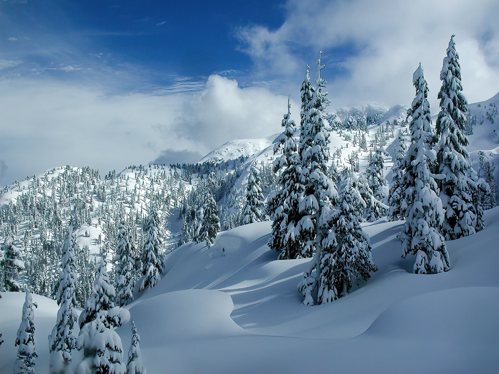 Snow-covered alpine terrain along the Thelwood-Myra Divide ski touring route in Strathcona Provincial Park, Vancouver Island
