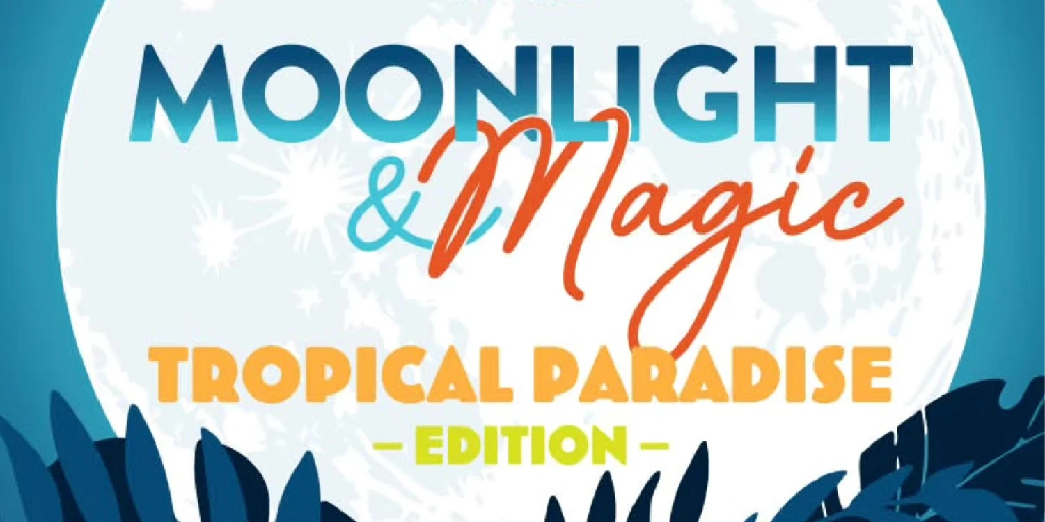 Moonnlight and Magic poster