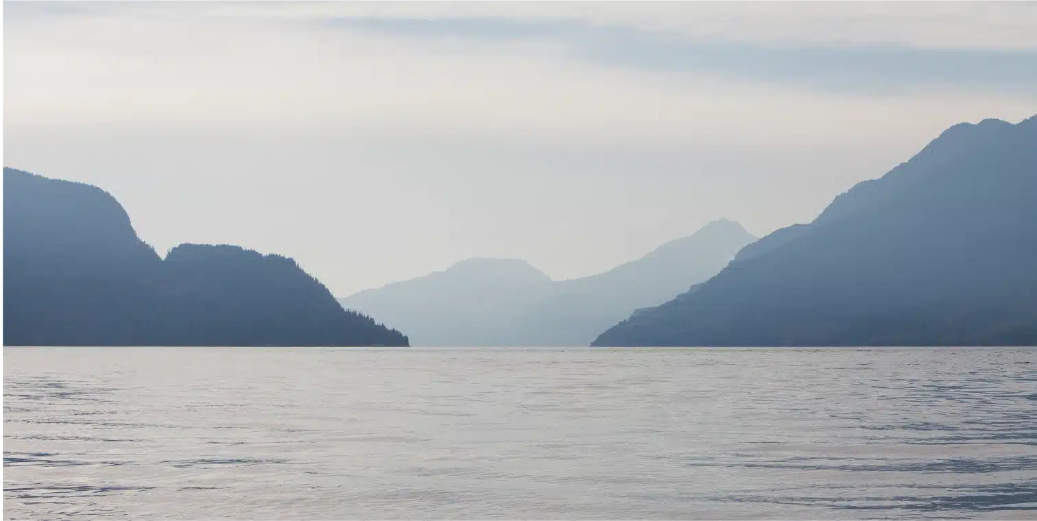 Tourism Opening header