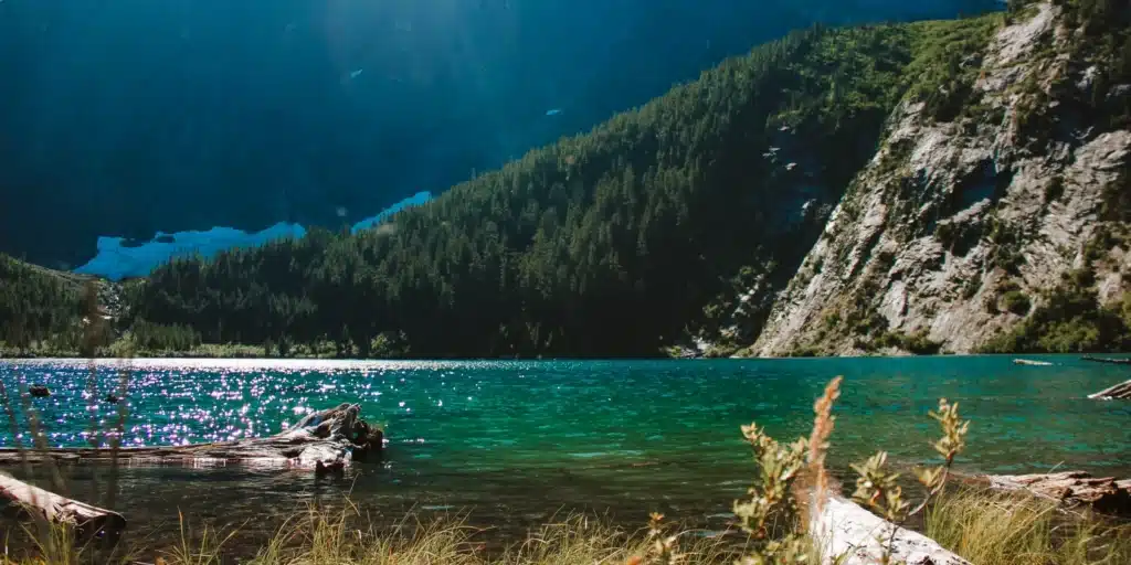 The 1946 Vancouver Island Earthquake and Landslide Lake