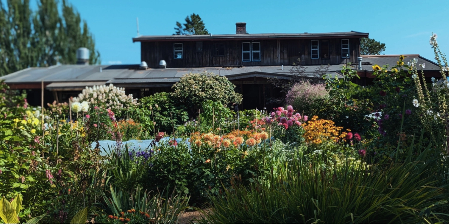 Hollyhock — A Cortes Island oasis Hollyhock garden and house