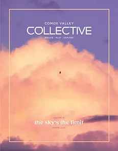 volume 41 cover image