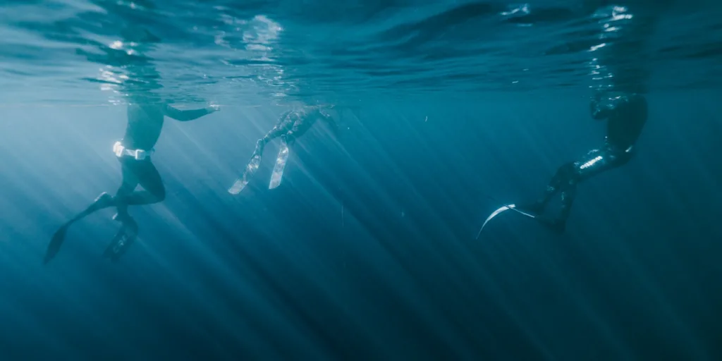 Explore by Region Freediving in Comox Lake