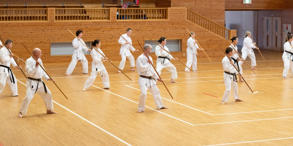 Okinawa karate training