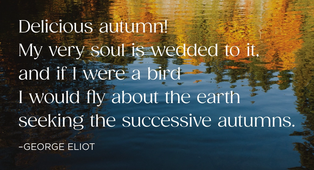 CollectiveMag_HmPgFt_Fall2023 CollectiveMag HmPgFt Fall2023