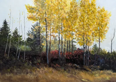 Ron Bridge landscape painting featuring golden alder trees in fall on Vancouver Island