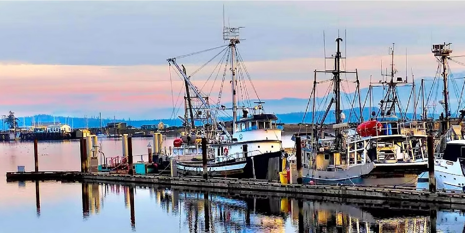 boats docked under pink skies