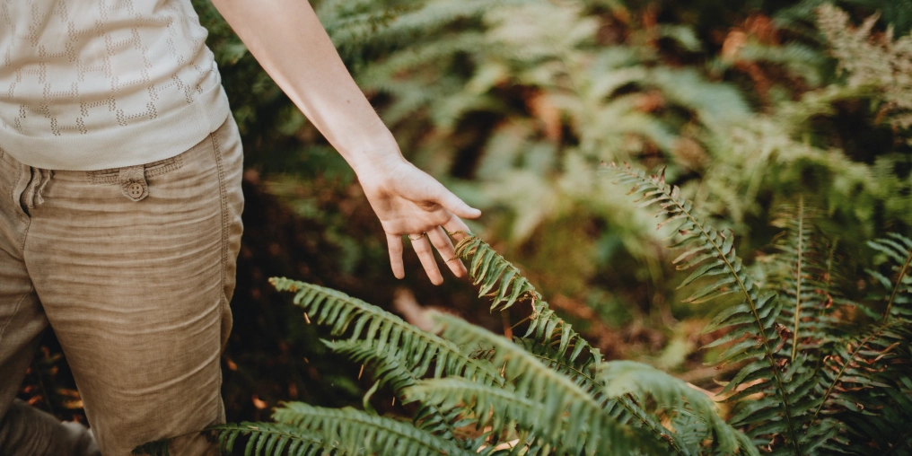 arm outstretched touching a fern