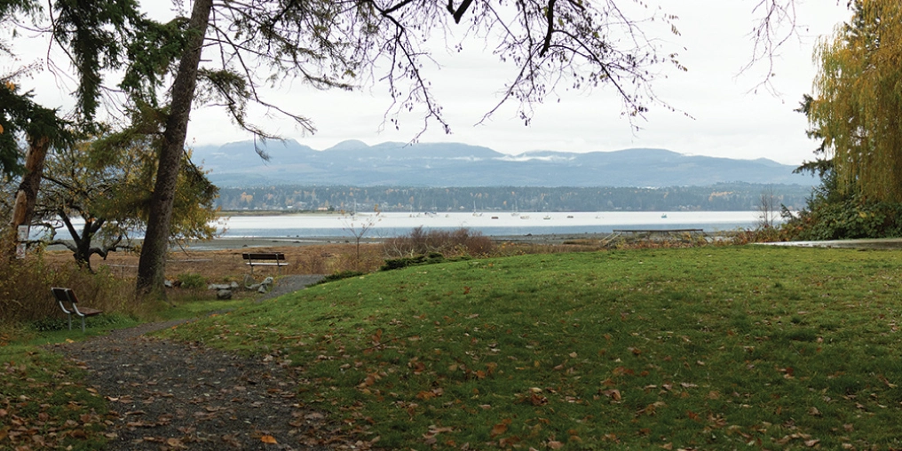 Evidence today of a midden house in Comox