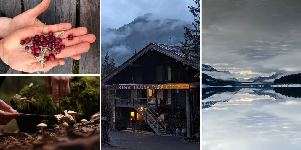gallery of images from strathcona park lodge including foraging items and winter beauty