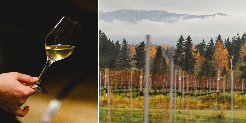 a glass of white wine next to a picture of theBeaufort vineyard in Comox Valley