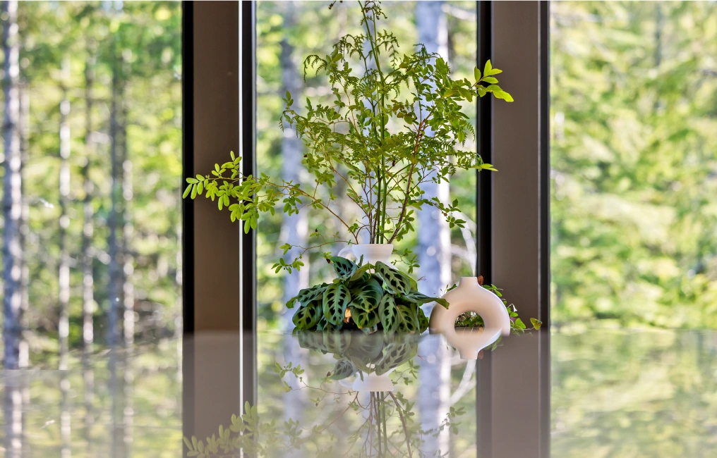 Houseplant reflected in a glass table with forest views through large windows in a Comox Valley home