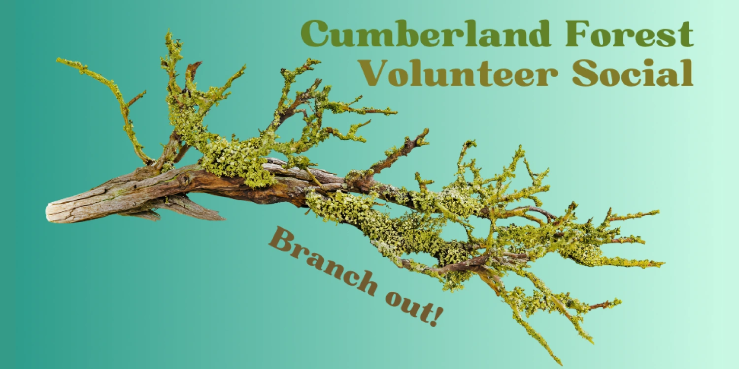 Cumberland Forest Volunteer Social Cumberland forest Volunteer Social Poster - Image with a branch and text.