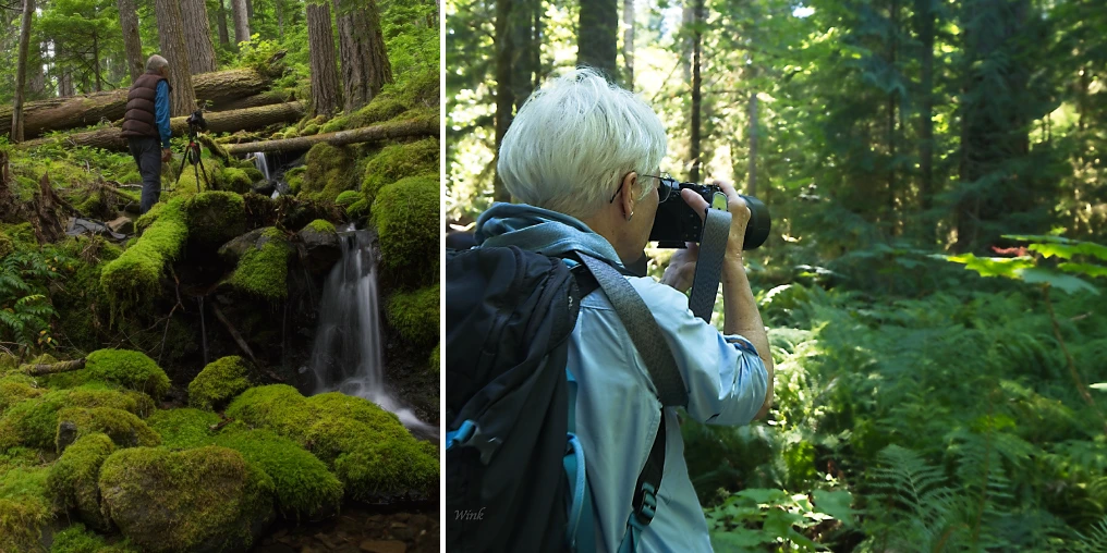 Comox Valley Photographic Society members gathered on a photography field trip beside a totem pole in a Vancouver Island forest