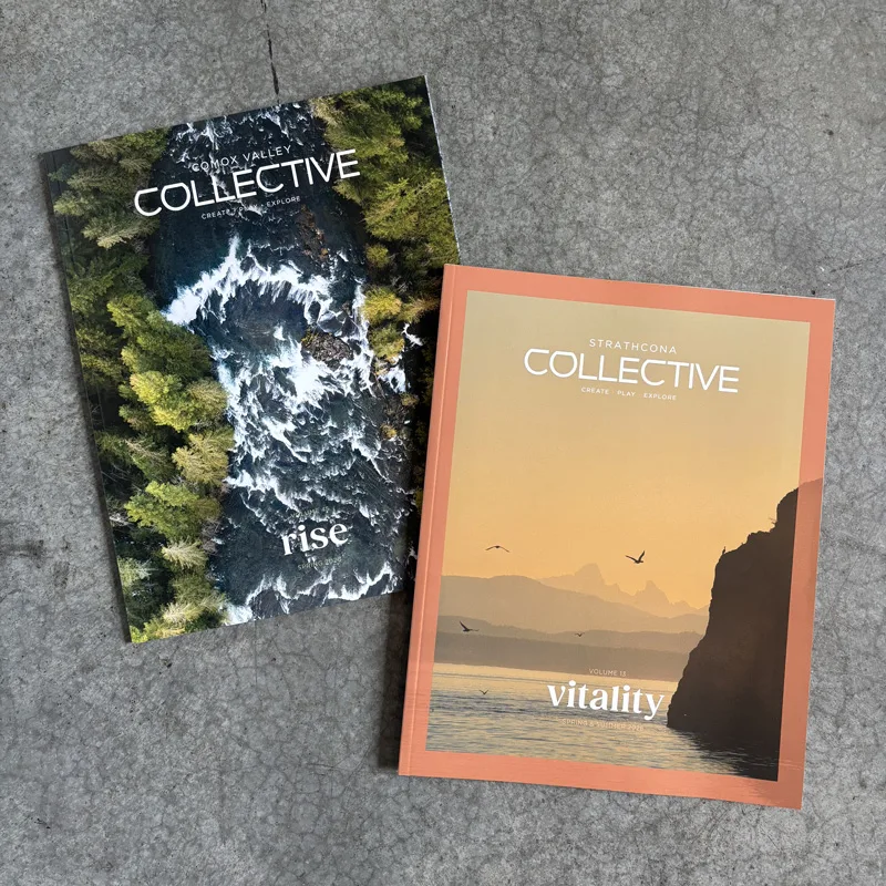 Spring 2025 CV and SC magazine covers