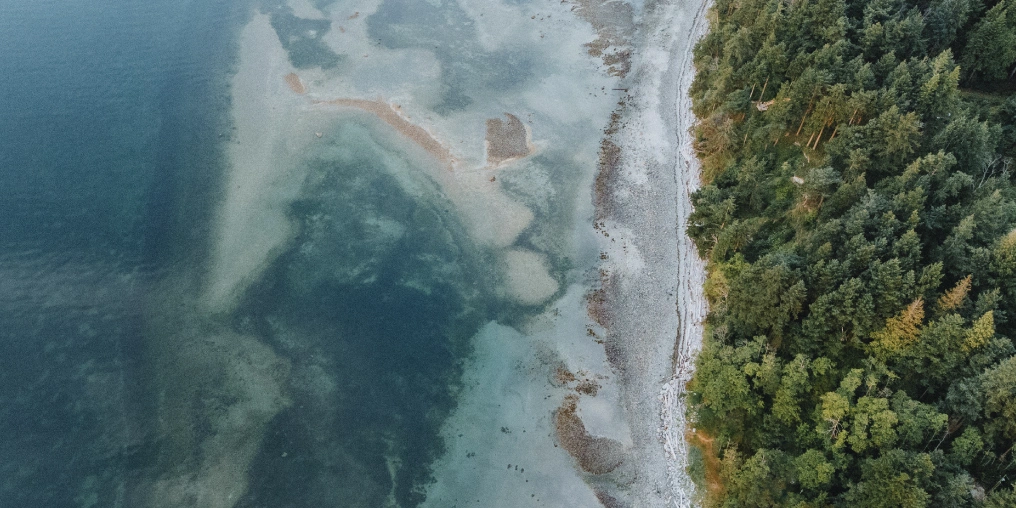 Aerial view of Cortes Island coastline where forest meets the tidal zone