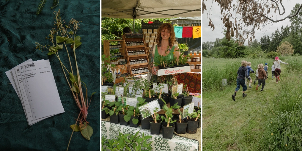 Plant identification sheets, a herbal vendor, and children exploring the grounds at the Vancouver Island Herb Gathering