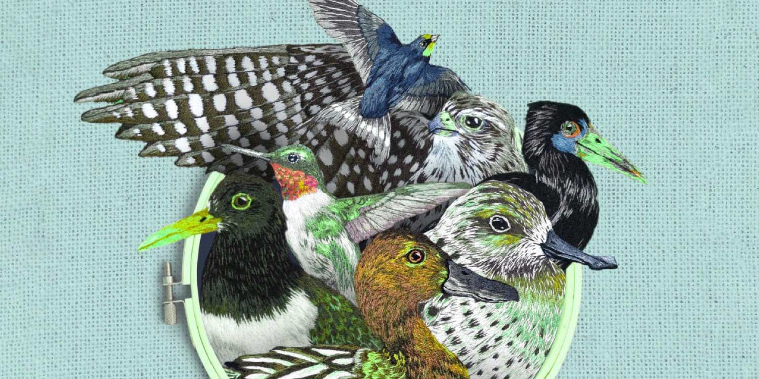 cross stitched birds on blue background