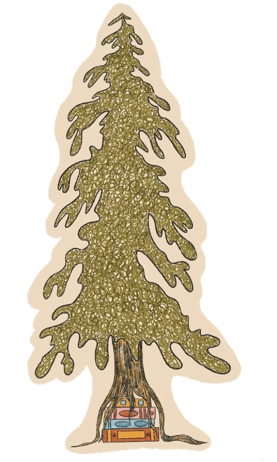 Illustration of a conifer tree with a stack of books at its base, representing adult literacy in Campbell River