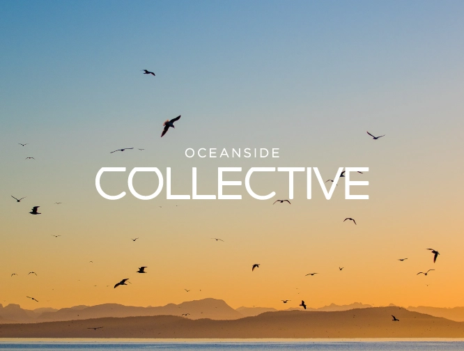 seagulls flying over the ocean at sunset with oceanside collective logo over top