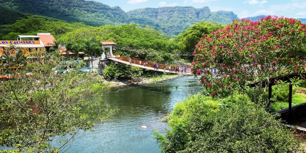 Explore by Topic Mangos and More