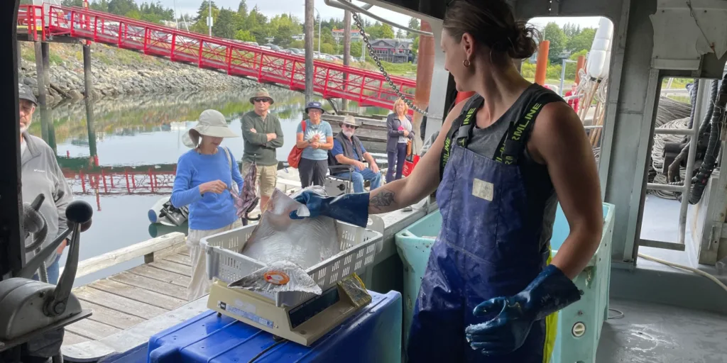 Explore the Comox Valley Collective Selling fresh fish from the dock: a Comox Valley family tradition