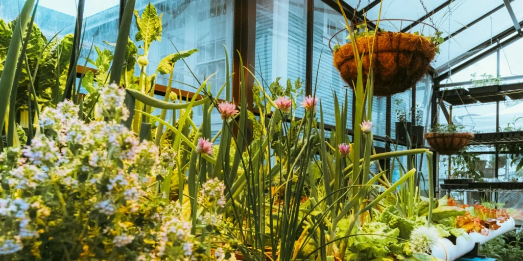 Growing food, joy, and resilience at the Parksville Community Gardens