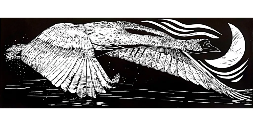 Explore the Comox Valley Collective Featured Artist: Tashi Draper