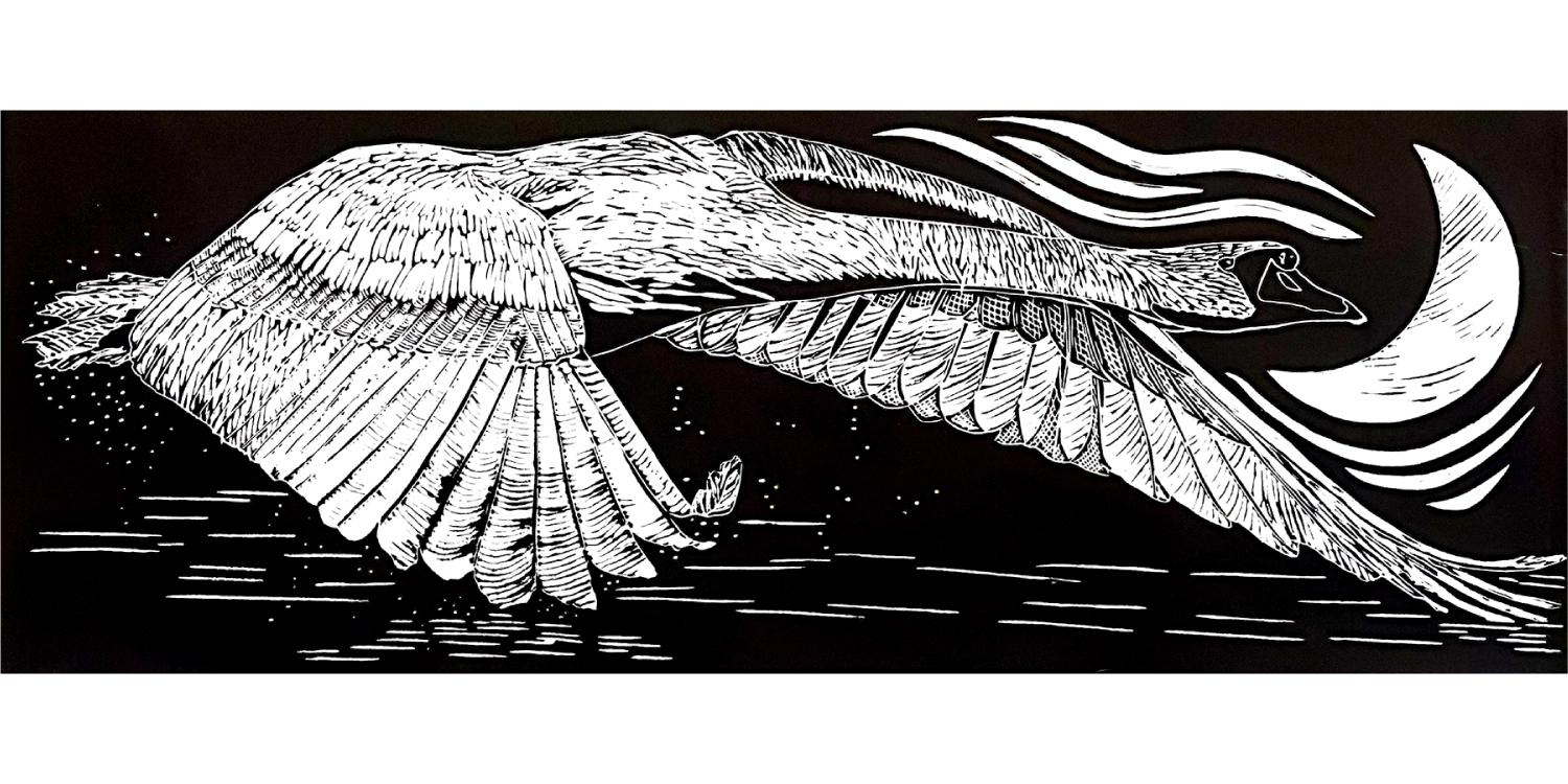 Swan Skims the Water, a linocut print by Tashi Draper