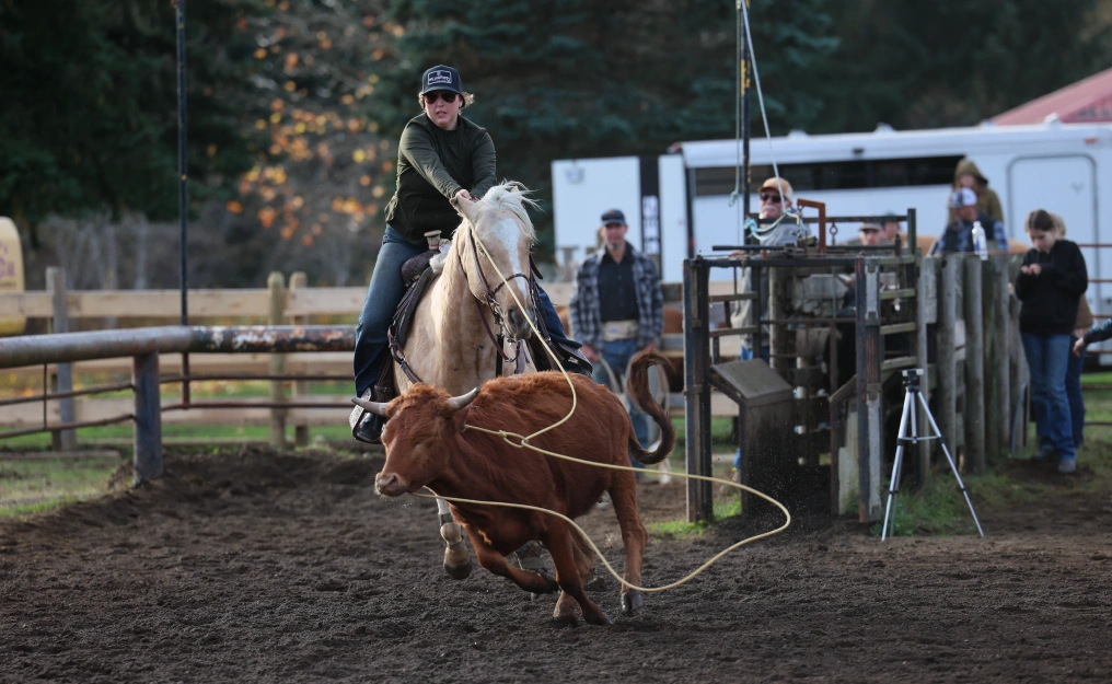 Breakaway roping competitor at Innes Arena on Vancouver Island