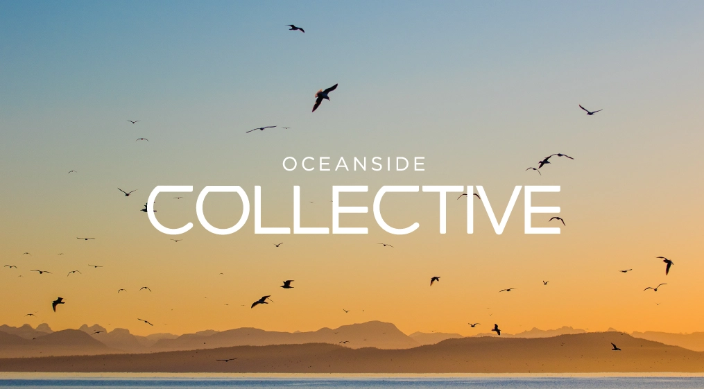 OCPage_LogoImage Ocean at sunset with seagull flying with the Oceanside Collective obvertop<br />