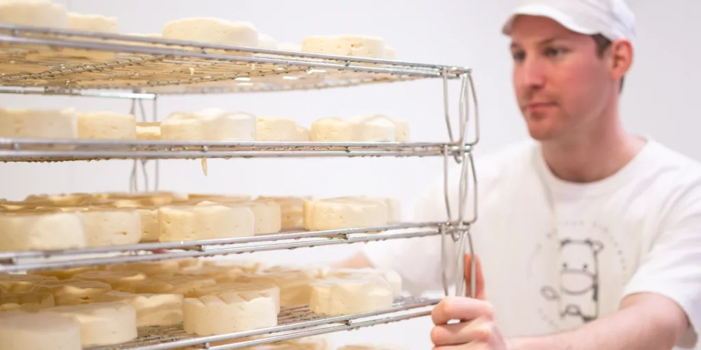 Explore by Topic How milk, land, and skill come together at Little Qualicum Cheeseworks