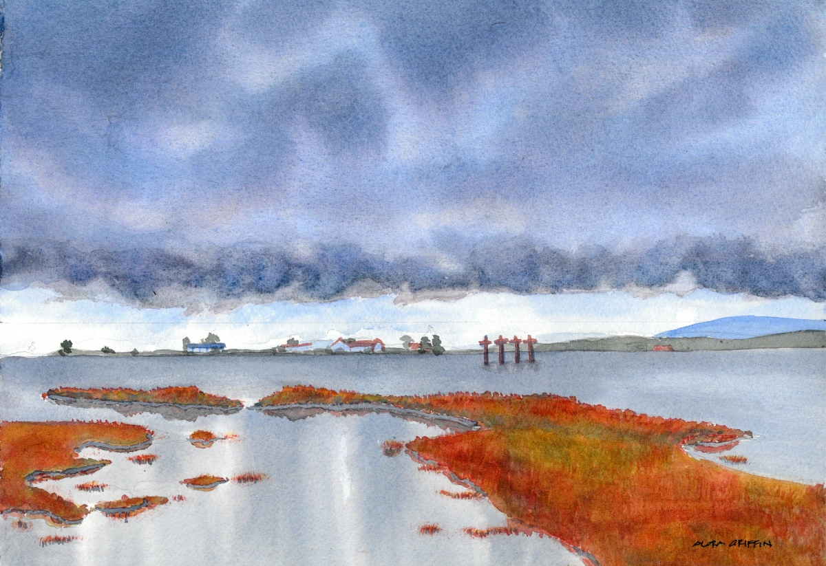 alora-griffin-salt-marsh-storm alora griffin salt marsh storm