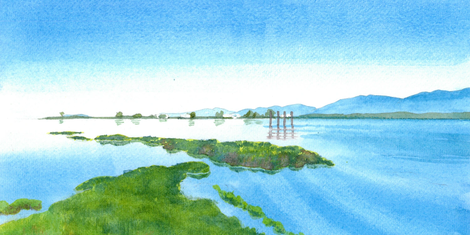 alora-griffin-summer-salt-marsh Watercolour painting of a calm salt marsh in the Comox Valley, with green marsh grass islands and wooden pilings reflected in still blue water