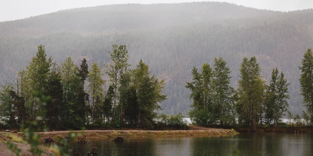 The Courtenay Fish and Game’s bold plan to attract coho salmon