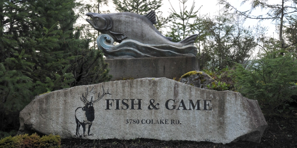 The Courtenay Fish and Game’s bold plan to attract coho salmon Courtenay and District Fish and Game Protective Association sign featuring a salmon sculpture and elk emblem