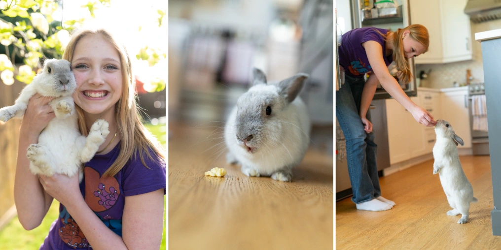 Why free-roam rabbits make the best roommates Three moments of a girl and her pet rabbit together — hugging outdoors, eating a treat, and being hand-fed in the kitchen
