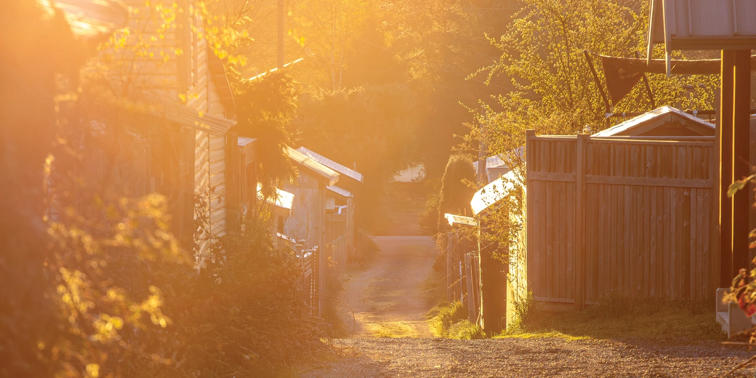 Sunlit laneway between wooden fences and trees glowing in golden hour light