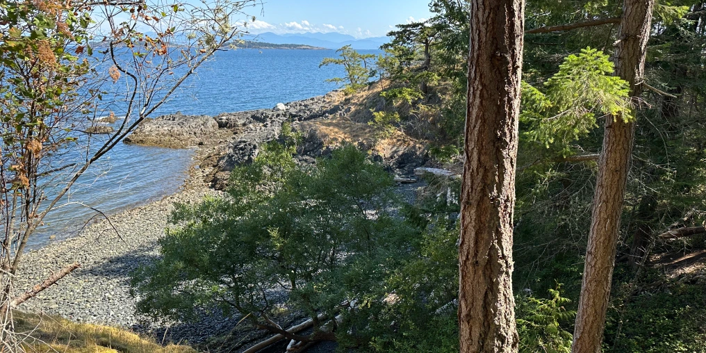 salish-sea-coastline-vancouver-island Rocky beach and forested shoreline along the Salish Sea, with distant mountains visible across the water.