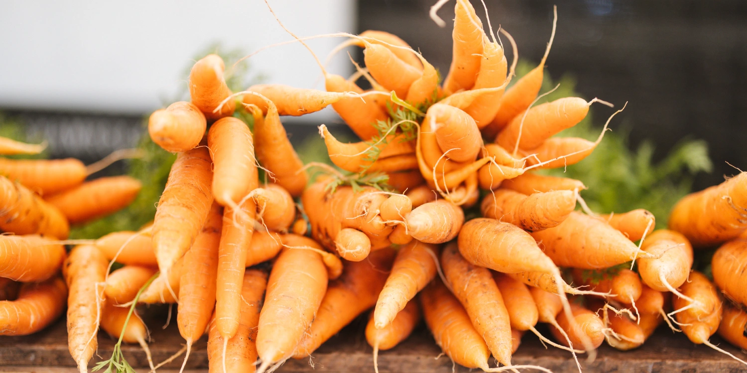 carrots-beta-carotene Bunches of orange carrots with fine roots still attached, piled on a wooden table