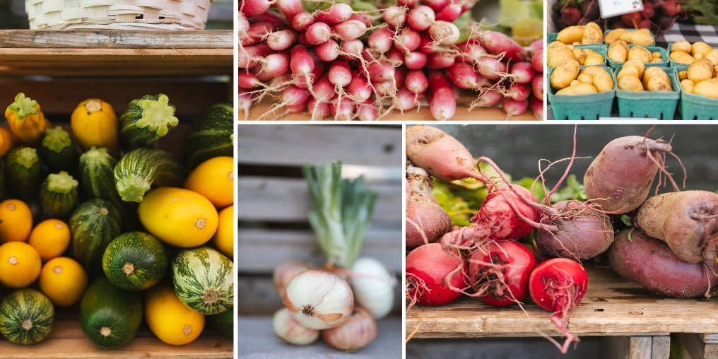 Fall vegetables add vibrancy and vitality throughout the cooler months Collage of produce displayed on wooden crates: striped and yellow summer squash, bunches of red radishes, yellow potatoes in green baskets, white onions, and red beets