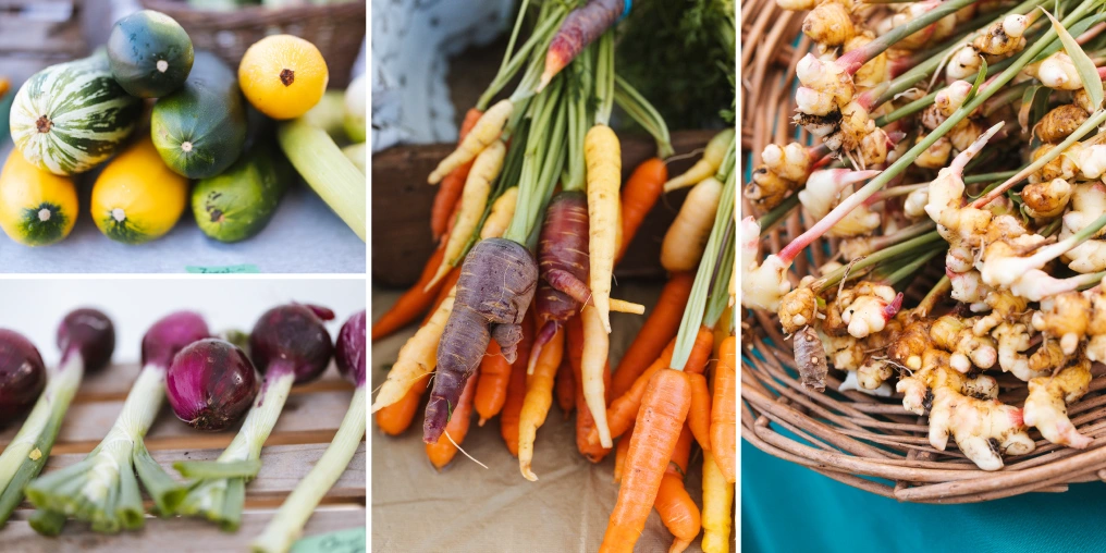 Fall vegetables add vibrancy and vitality throughout the cooler months Collage of fresh vegetables: round striped and yellow summer squash, red onions with green stalks, a bunch of orange, yellow and purple carrots, and young ginger in a wicker basket