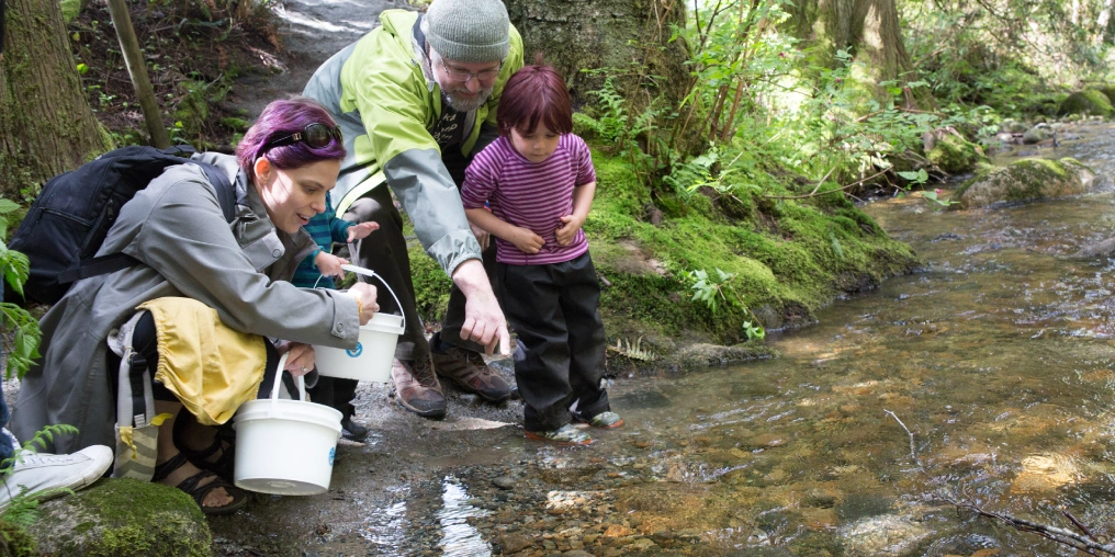 Valley of Salmon: easy-access viewing locations Two adults and two young children crouch at the edge of a mossy forest creek holding white buckets