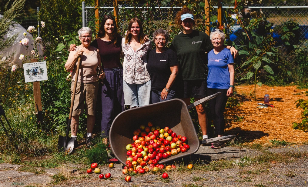 Notes on a Job Six community garden volunteers stand behind a tipped wheelbarrow of freshly picked apples in a Comox Valley garden